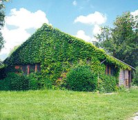 Naturschule Lohmar