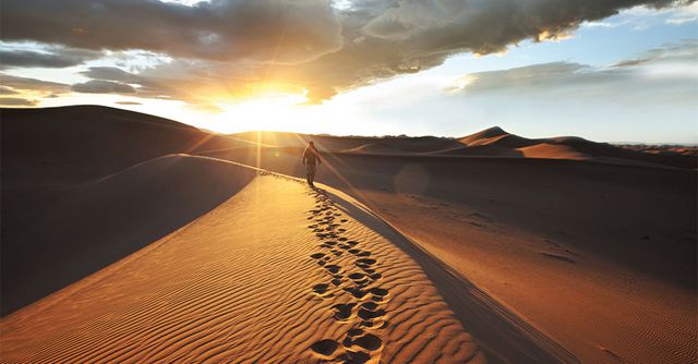 Namibia für Anfänger